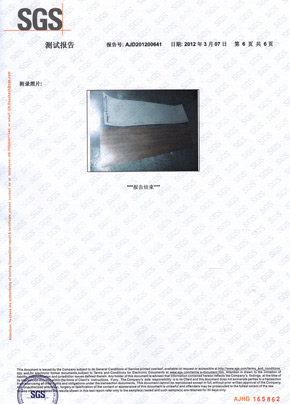 好色先生网站检查报告SGS（中）
